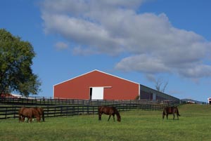 ABS-Steel Stony Ford Ranch