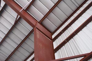 ABS-Steel Taylor BioMass