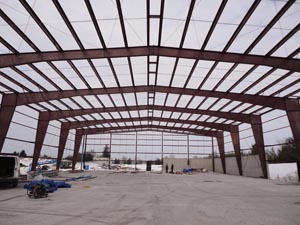 ABS-Steel Taylor BioMass